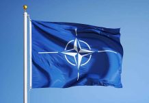 Senators Vote on Finland and Sweden NATO Membership