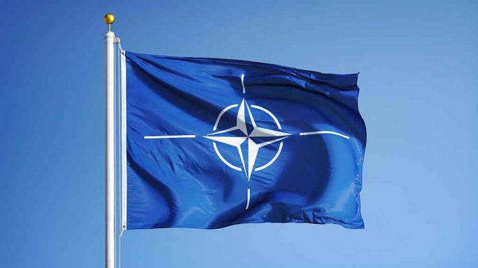 Senators Vote on Finland and Sweden NATO Membership
