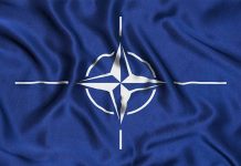 N Korea Chafes at NATO's Condemnation