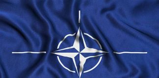 N Korea Chafes at NATO's Condemnation