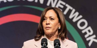 Harris's Meeting with Mayor Accused of Antisemitism Raises Eyebrows