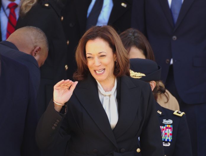 Kamala Harris's Inflation Strategies for 2024 Election