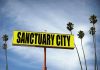 "Sanctuary City" sign with palm trees and sky.