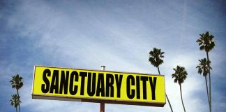 "Sanctuary City" sign with palm trees and sky.