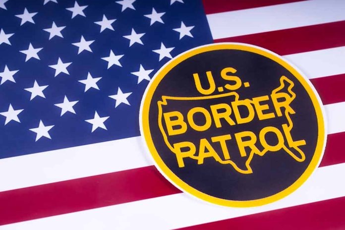 US Border Patrol logo on American flag background