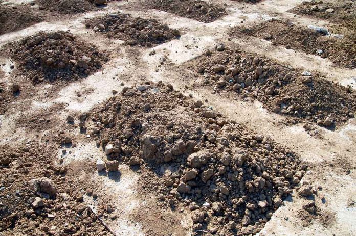 Dirt mounds arranged in a grid pattern