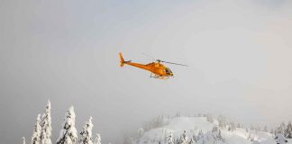 Yellow helicopter flying over snowy evergreen forest.