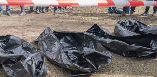 Three black body bags on the ground.