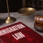 Immigration law book gavel and scales of justice