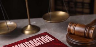 Immigration law book gavel and scales of justice