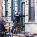 Police officers with dog entering building doorway steps