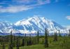 Snowcovered mountain under blue sky with green foreground