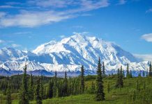 Snowcovered mountain under blue sky with green foreground