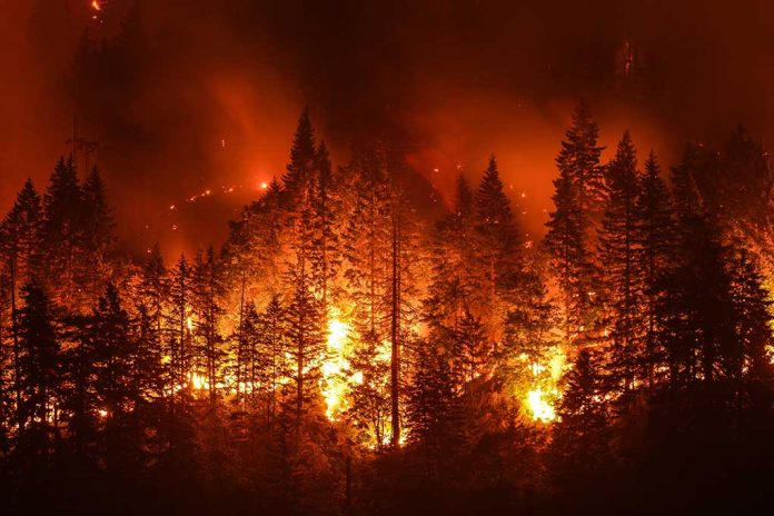 710588278 featured image Forest engulfed in intense wildfire at night