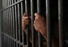 Hands gripping jail cell bars