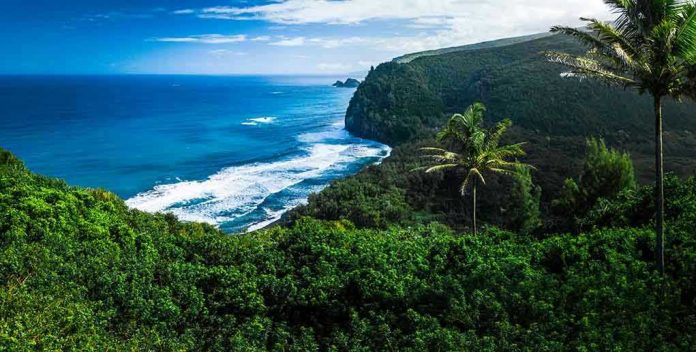 Beautiful coastal landscape with lush greenery and ocean waves
