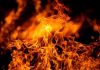 Close-up of vibrant flames against a dark background