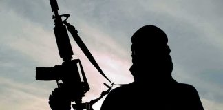 Silhouette of a person holding a rifle against a cloudy sky