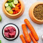 Vegetables, meat, dry kibble, and eggs arranged on surface.