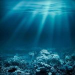TOXIC Ocean Discovery SHOCKS Scientists Sunlight beams illuminating ocean coral reef underwater scene.