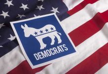 Democrats Stall Epstein Files – What’s the REAL Motive? Democratic Party symbol on American flag background.