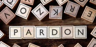Wooden letter blocks arranged to spell PARDON on a wooden surface