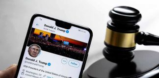 President Trump Sets Roger Stone Free Smartphone displaying Twitter profile near a judges gavel.