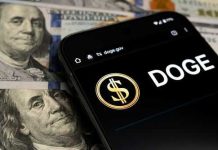 Crypto Kingpin CRUSHED – 15 Years, Billions Gone Smartphone displaying Doge logo on hundred dollar bills