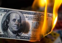 Government Waste: $67 Billion SCANDAL Uncovered Burning hundred-dollar bill with visible flames.
