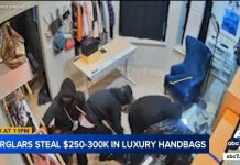 Precision Retail Heist Exposes Californias Crime Breakdown Burglars steal over $200K in luxury handbags from Newport