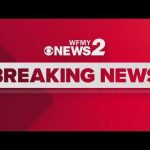 Over 400 roosters seized in suspected cockfighting