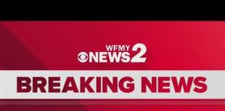 Over 400 roosters seized in suspected cockfighting