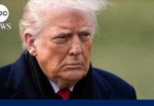 Trump shares video that includes racist depiction of the