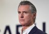 Gavin Newsom 'publicly admits to being stupid' in a series of