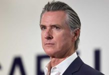 Gavin Newsom 'publicly admits to being stupid' in a series of