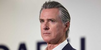 Gavin Newsom 'publicly admits to being stupid' in a series of