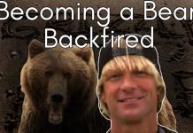 Reckless Couple MAULED — Six Minutes of TERROR The Most HORRIFIC Wedding Deaths Ever Recorded