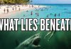 US Beaches Bacterial Death Traps Exposed