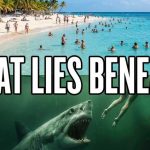 US Beaches Bacterial Death Traps Exposed