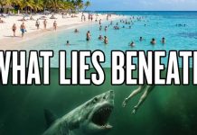 US Beaches Bacterial Death Traps Exposed