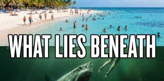 US Beaches Bacterial Death Traps Exposed