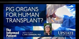 Vatican FLIPS on Cross-Species Transplants