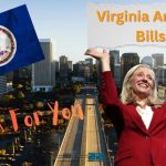 Virginia Democrats BAN AR-15s