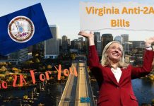 Virginia Democrats BAN AR-15s
