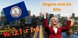 Virginia Democrats BAN AR-15s