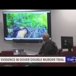 Driveway Execution Ends With BIZARRE Surrender Twist