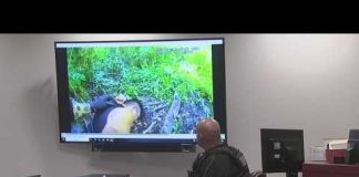 Driveway Execution Ends With BIZARRE Surrender Twist