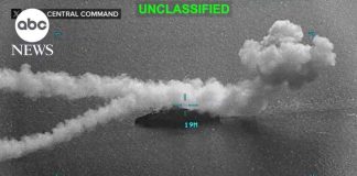 FBI Bombshell: Sleeper Cells “Real” FBI Bombshell: Sleeper Cells “Real”