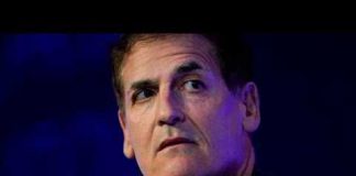 Mark Cuban Warns CEOs: AI Trap Mark Cuban Warns CEOs: AI Trap