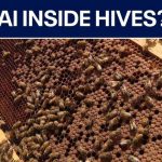 Robotic Bees Take Over Florida! AI beehives deployed in Pasco County to protect local food supply